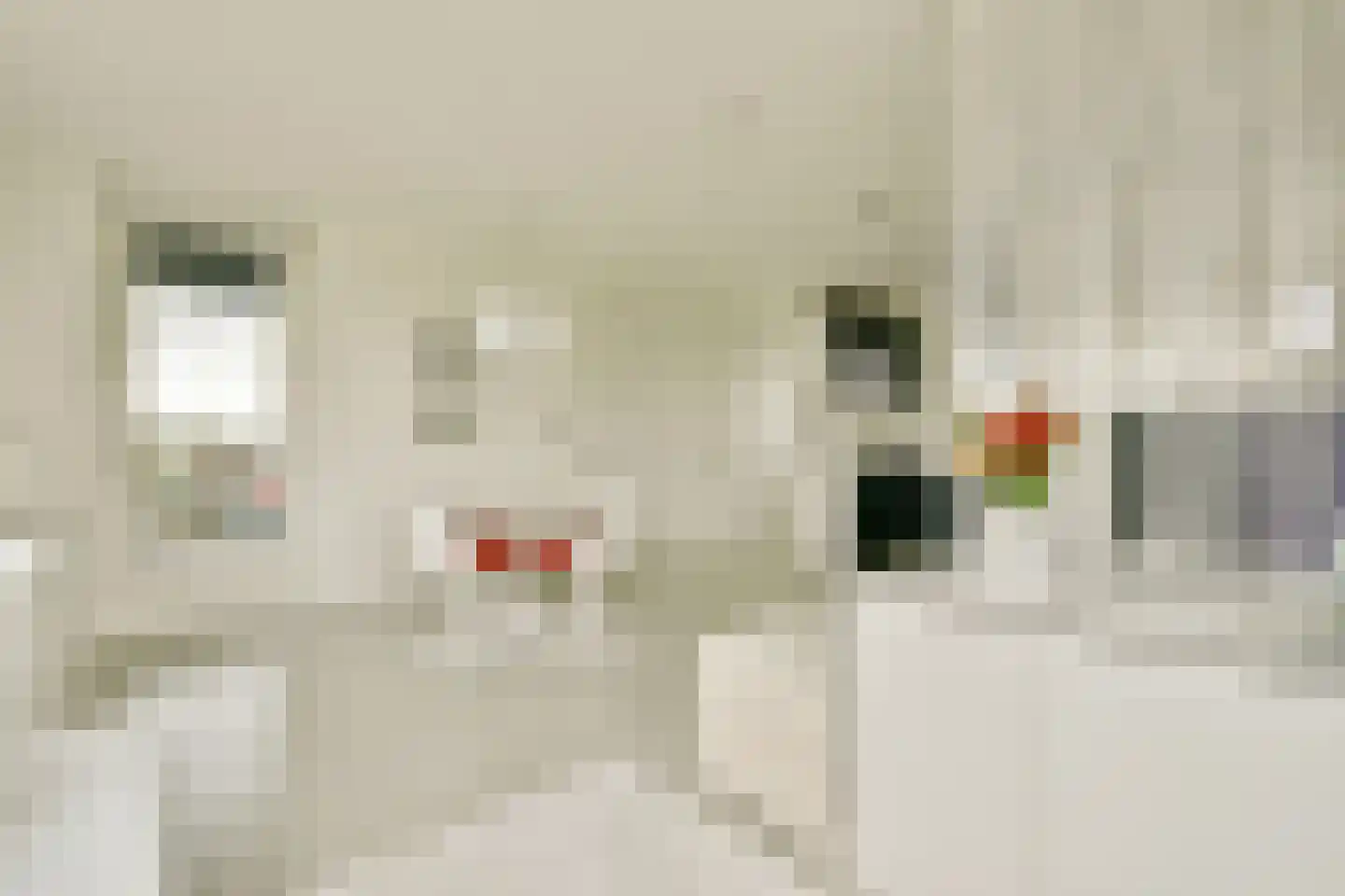 Tamariskhof 7 Amsterdam thumbnail 42