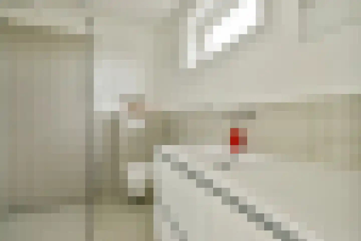 Tamariskhof 7 Amsterdam thumbnail 45