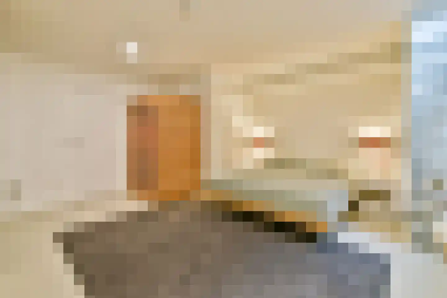 Tamariskhof 7 Amsterdam thumbnail 47