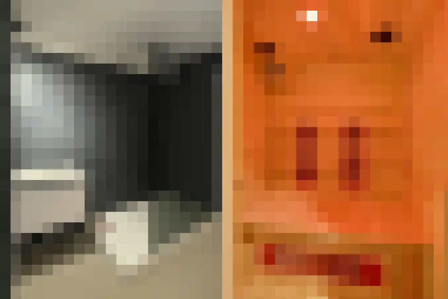 Tamariskhof 7 Amsterdam thumbnail 48
