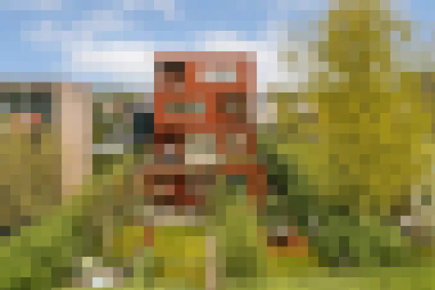 Tamariskhof 7 Amsterdam thumbnail 5