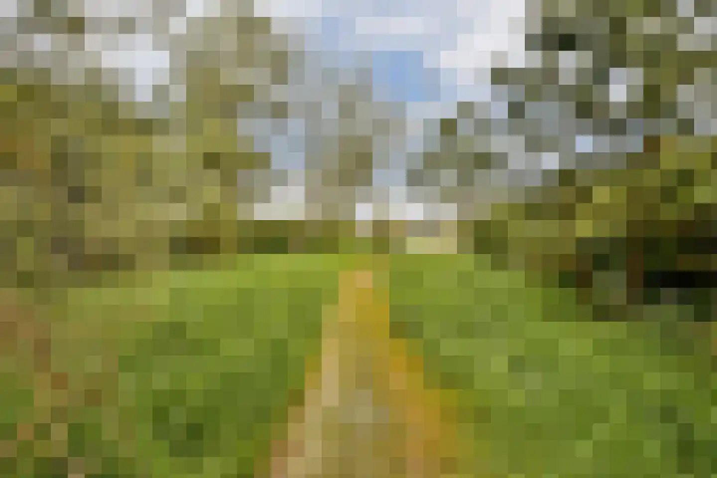 Tamariskhof 7 Amsterdam thumbnail 50