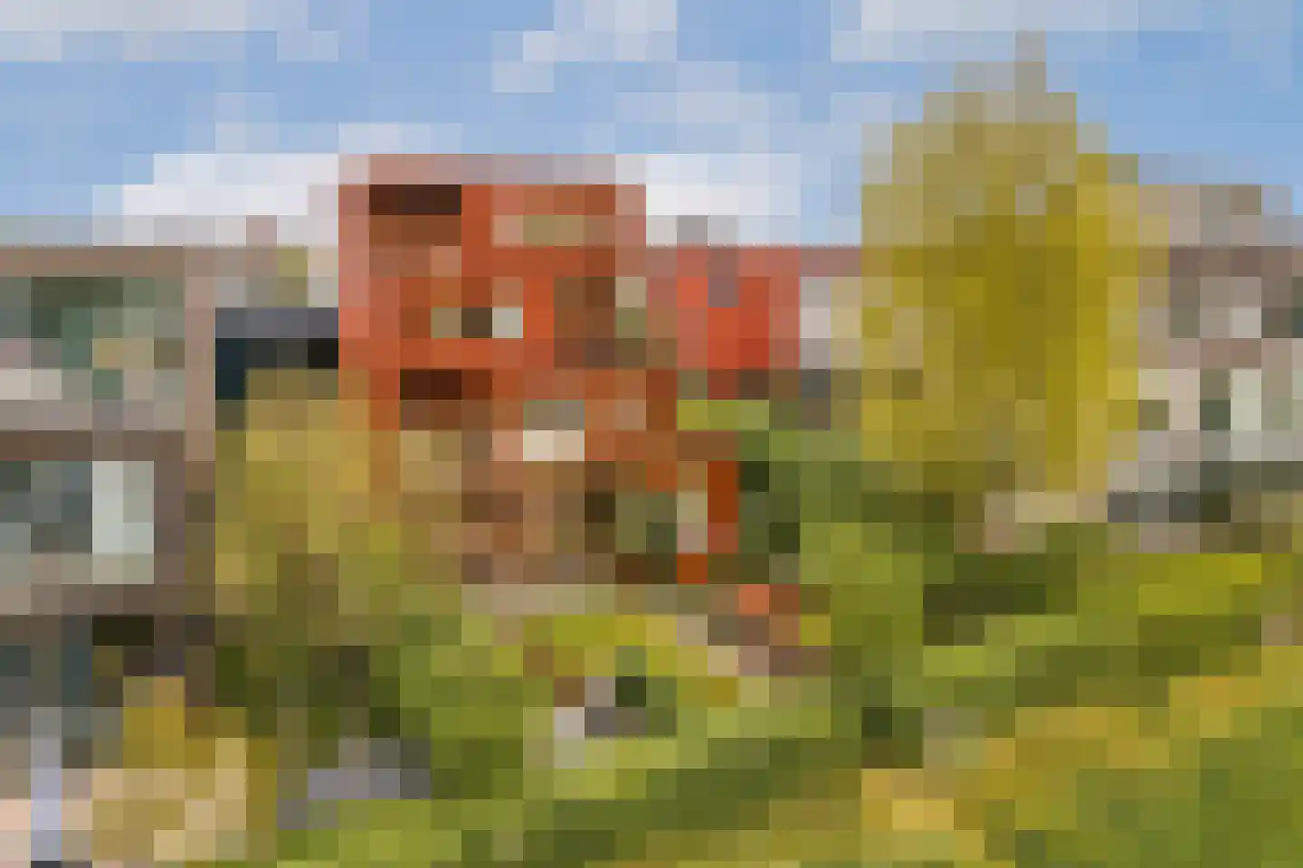 Tamariskhof 7 Amsterdam thumbnail 50