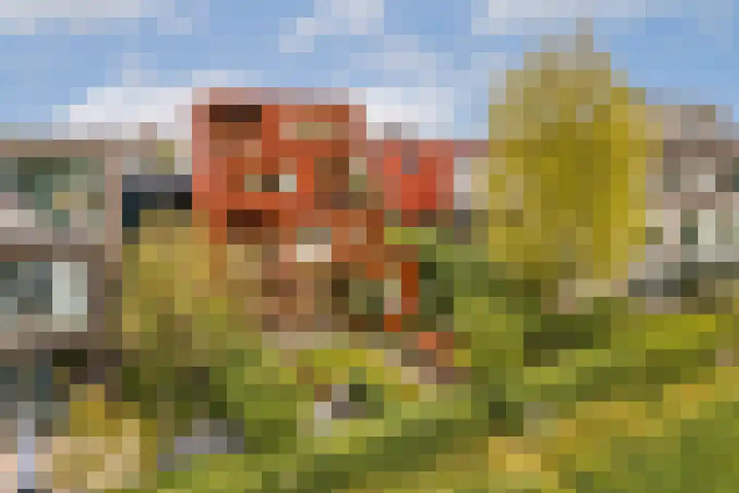 Tamariskhof 7 Amsterdam thumbnail 51