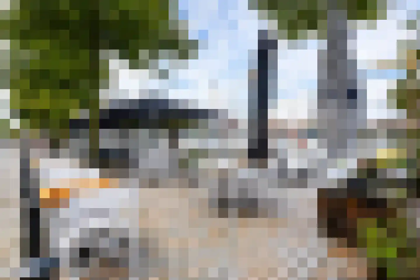 Tamariskhof 7 Amsterdam thumbnail 58