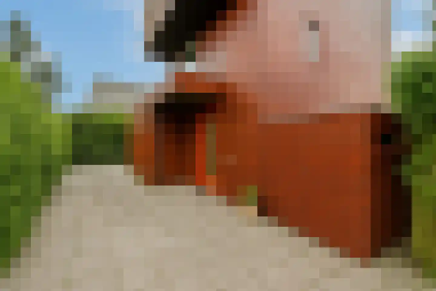 Tamariskhof 7 Amsterdam thumbnail 7