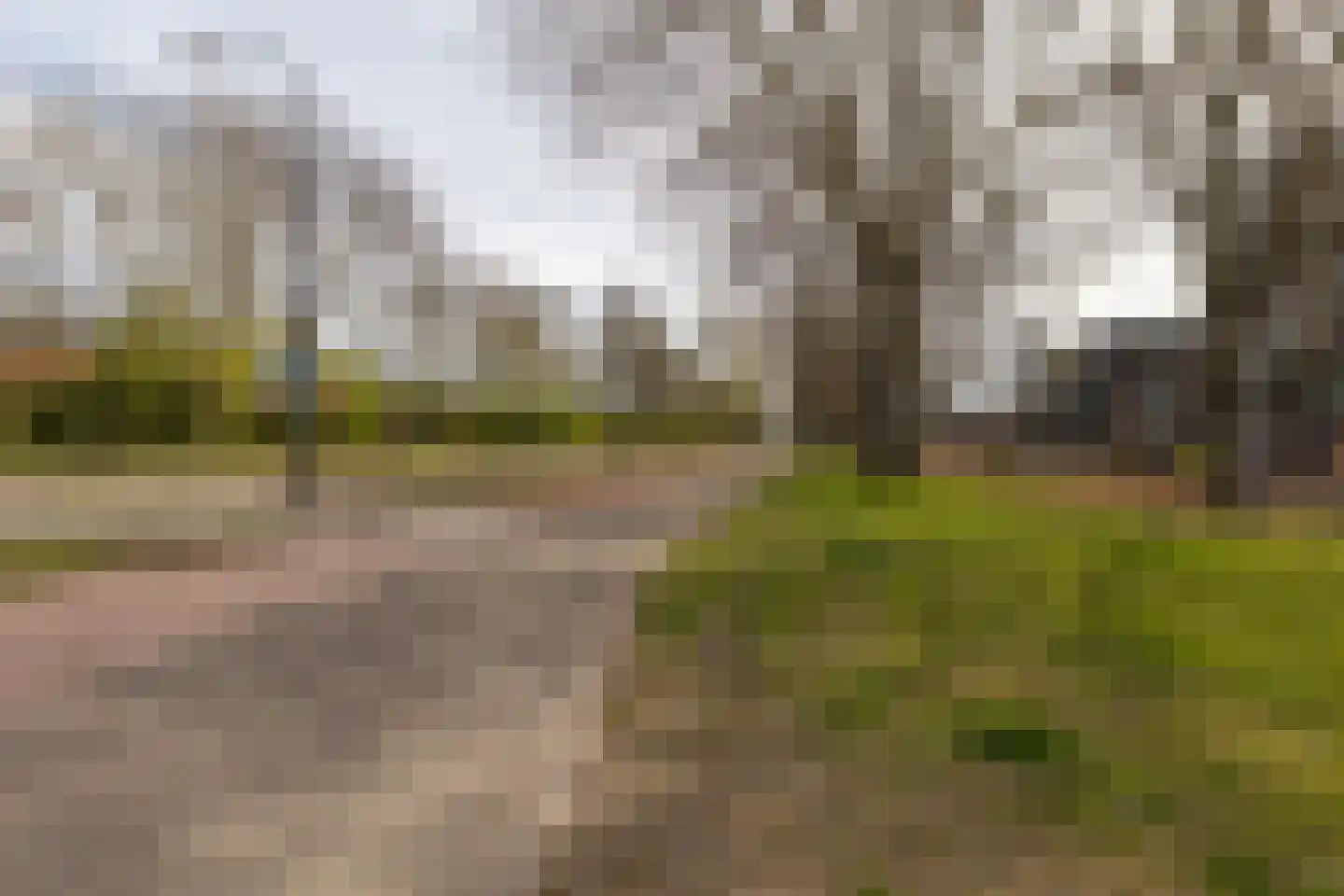 Tamarixplantsoen 177 Heerhugowaard thumbnail 25