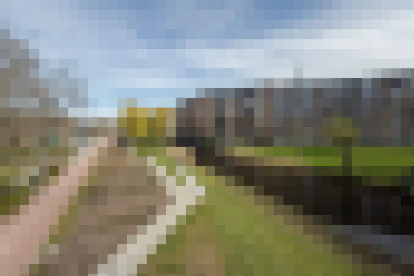 Tamarixplantsoen 177 Heerhugowaard thumbnail 4