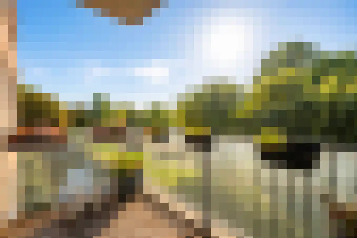 Tamarixplantsoen 205 Heerhugowaard thumbnail 14