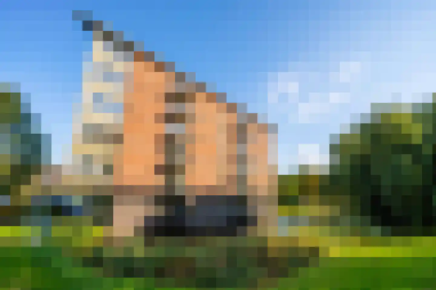 Tamarixplantsoen 205 Heerhugowaard thumbnail 28