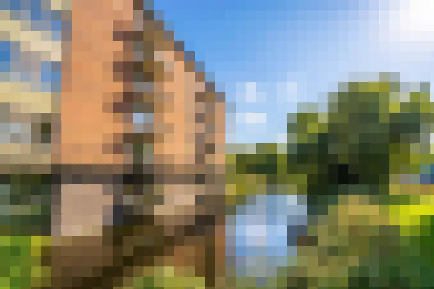 Tamarixplantsoen 205 Heerhugowaard thumbnail 29