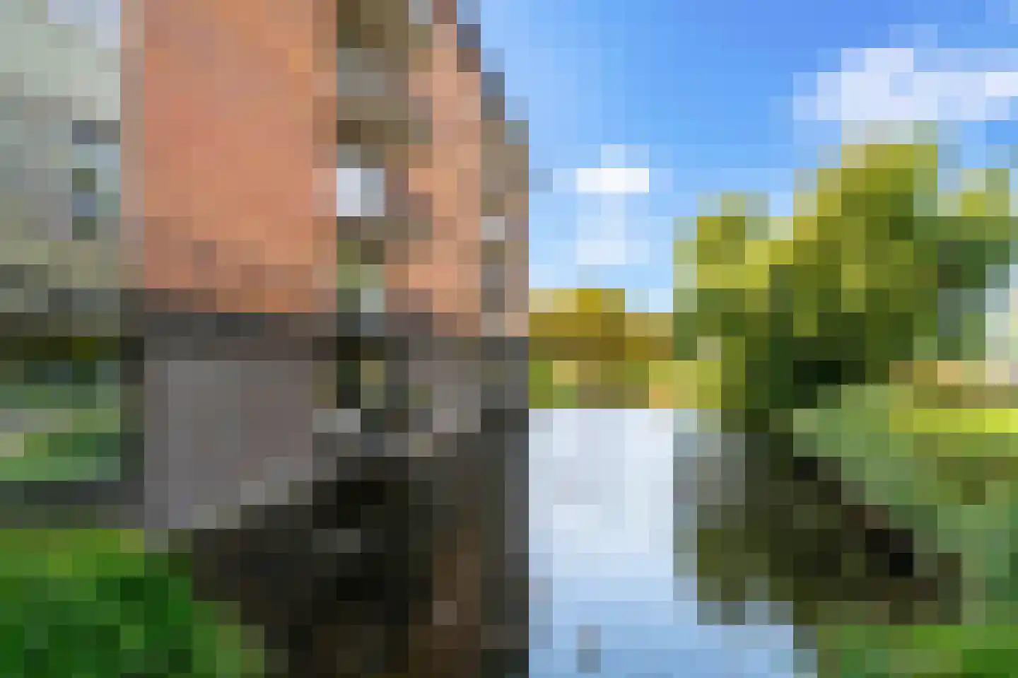 Tamarixplantsoen 205 Heerhugowaard thumbnail 31