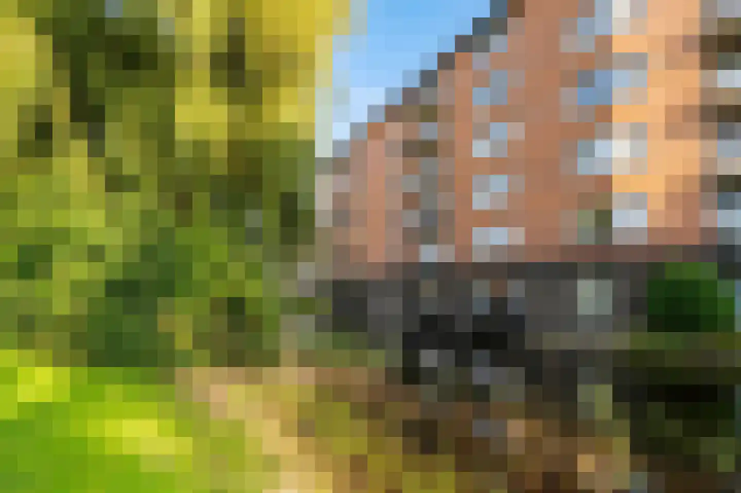 Tamarixplantsoen 205 Heerhugowaard thumbnail 32