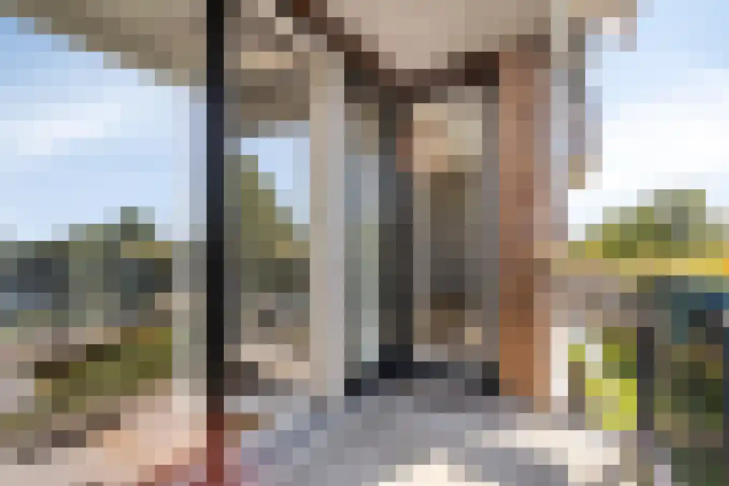 Tamarixplantsoen 221 Heerhugowaard thumbnail 28