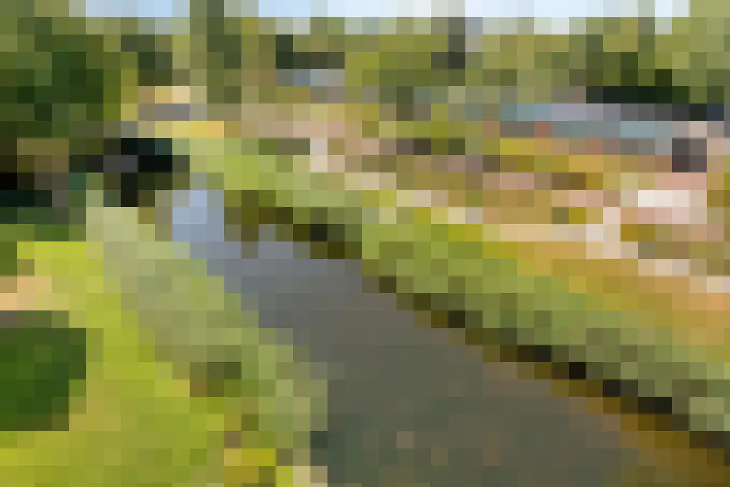 Tamarixplantsoen 221 Heerhugowaard thumbnail 33