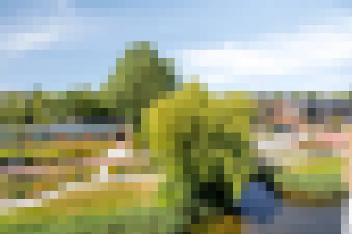 Tamarixplantsoen 221 Heerhugowaard thumbnail 34