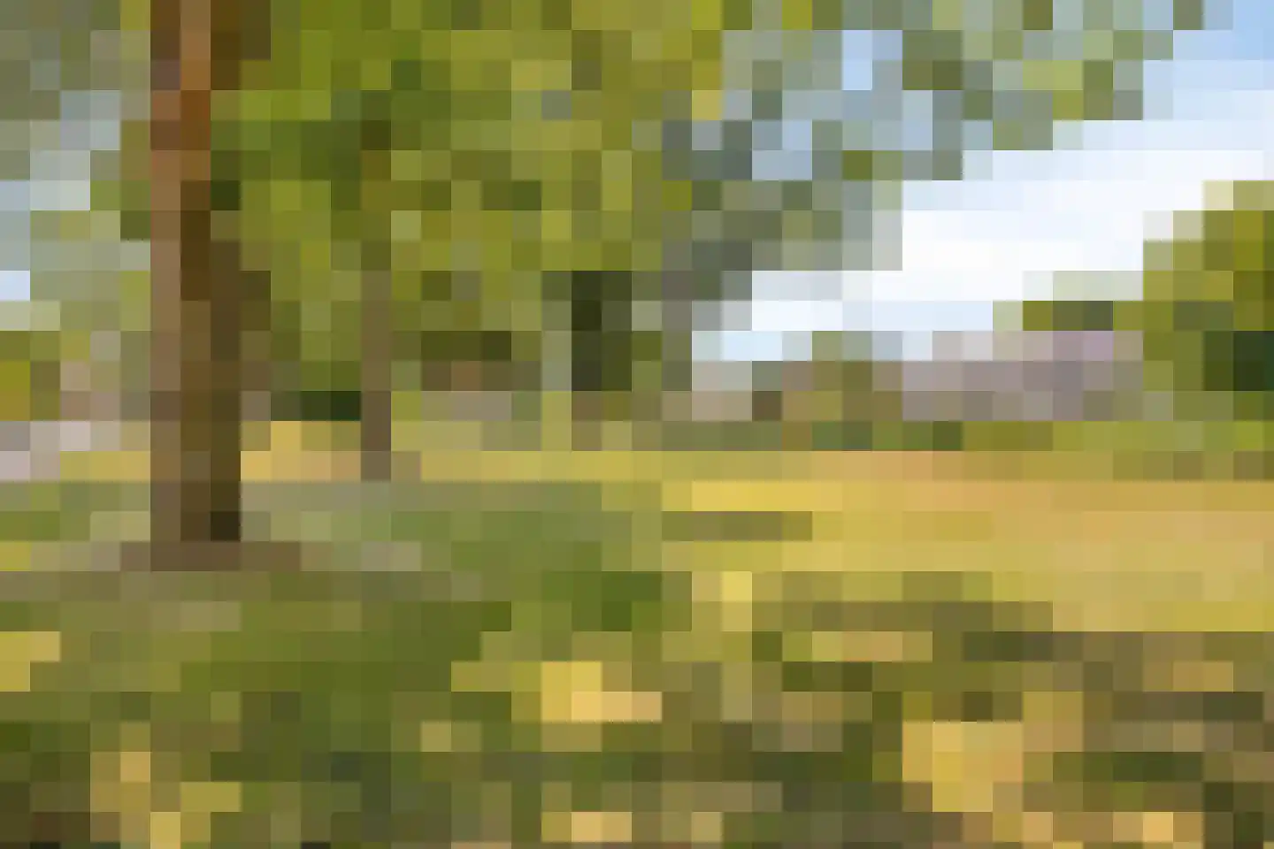 Tamarixplantsoen 221 Heerhugowaard thumbnail 37
