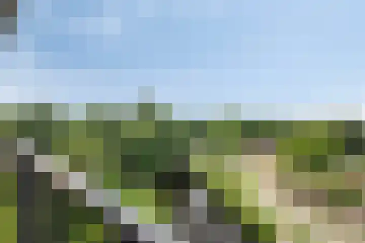 Tamarixplantsoen 235 Heerhugowaard thumbnail 24