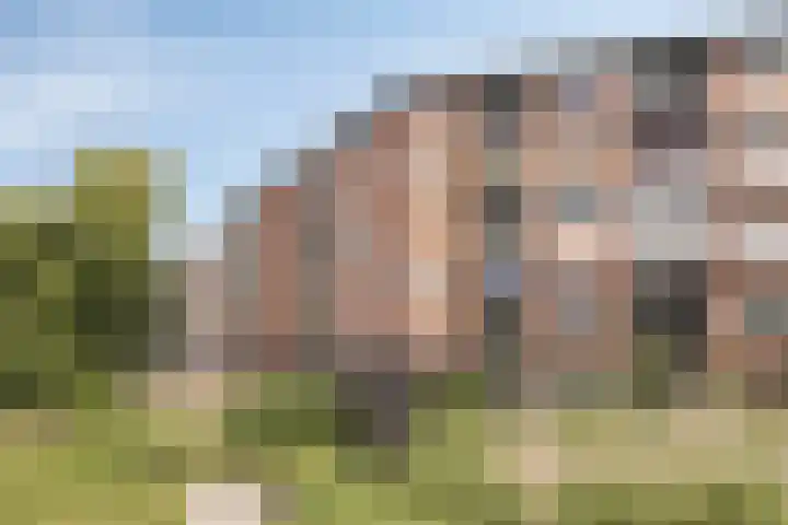 Tamarixplantsoen 235 Heerhugowaard thumbnail 35
