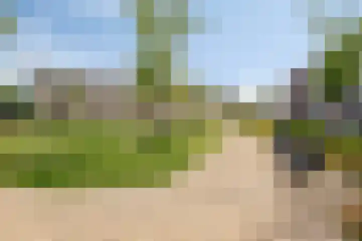 Tamarixplantsoen 235 Heerhugowaard thumbnail 39