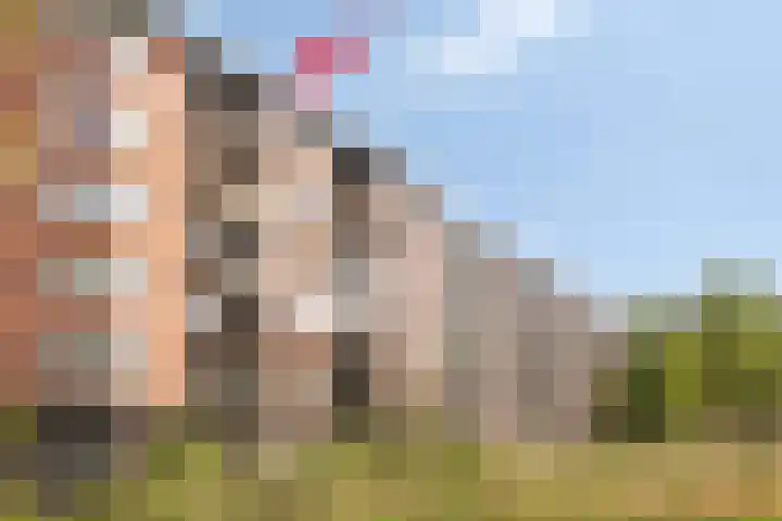 Tamarixplantsoen 235 Heerhugowaard thumbnail 41