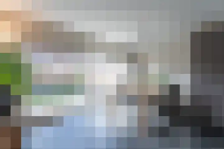 Tamarstraat 14 Spijkenisse thumbnail 17