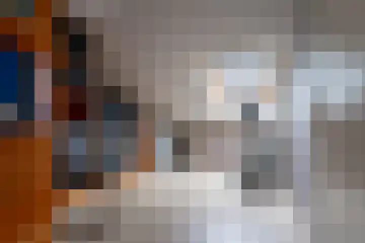 Tamarstraat 14 Spijkenisse thumbnail 24