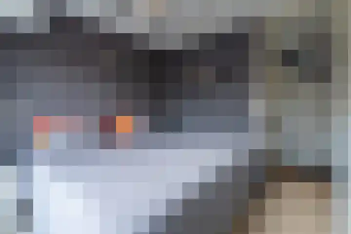 Tamarstraat 14 Spijkenisse thumbnail 31