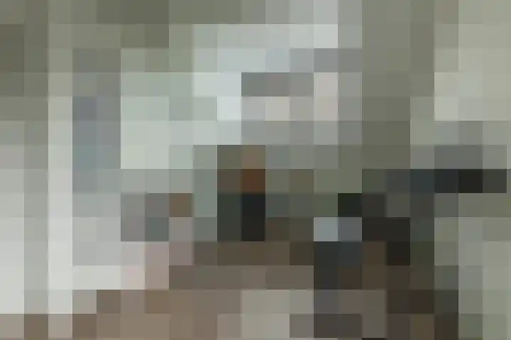 Tamarstraat 7 Spijkenisse thumbnail 15