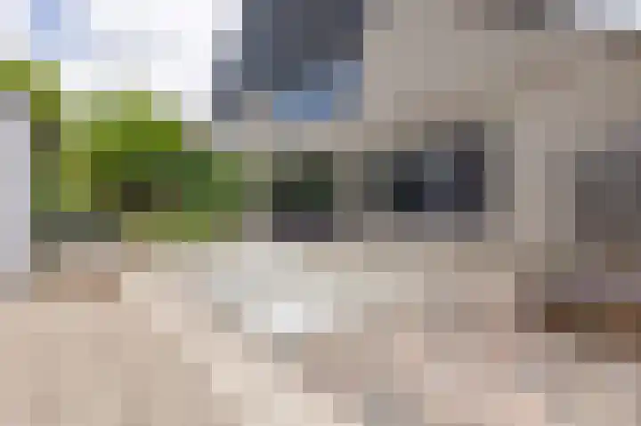 Tamarstraat 7 Spijkenisse thumbnail 24