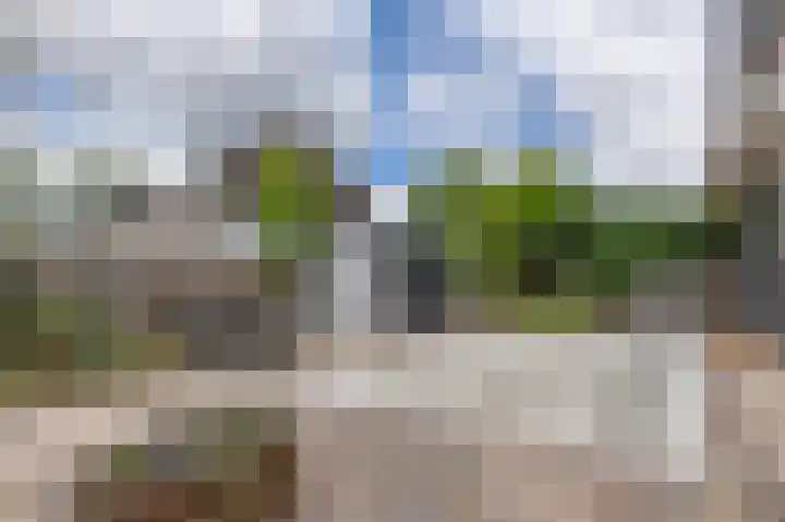 Tamarstraat 7 Spijkenisse thumbnail 4