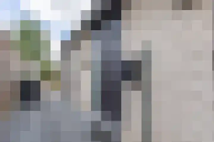 Tamarstraat 7 Spijkenisse thumbnail 6