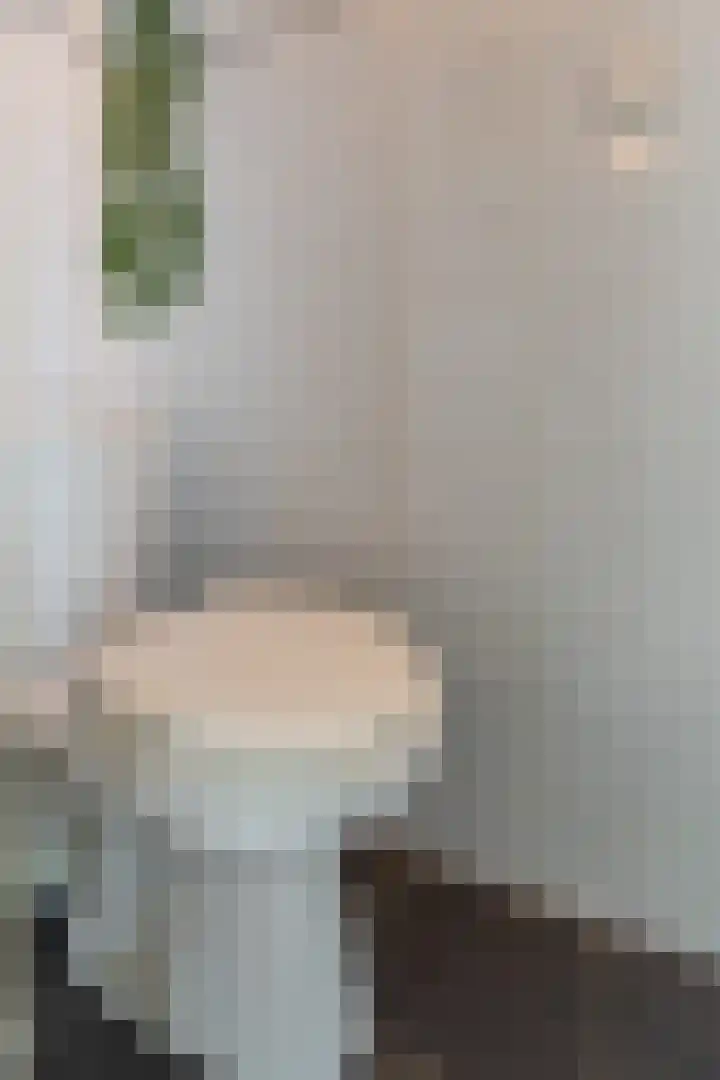 Tamarstraat 7 Spijkenisse thumbnail 8