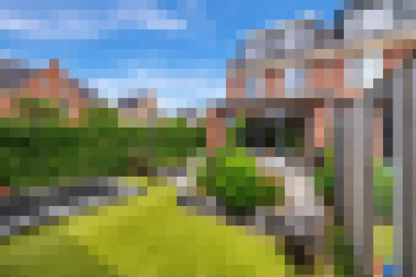 Tambo 8 Nieuwerkerk aan den IJssel thumbnail 28