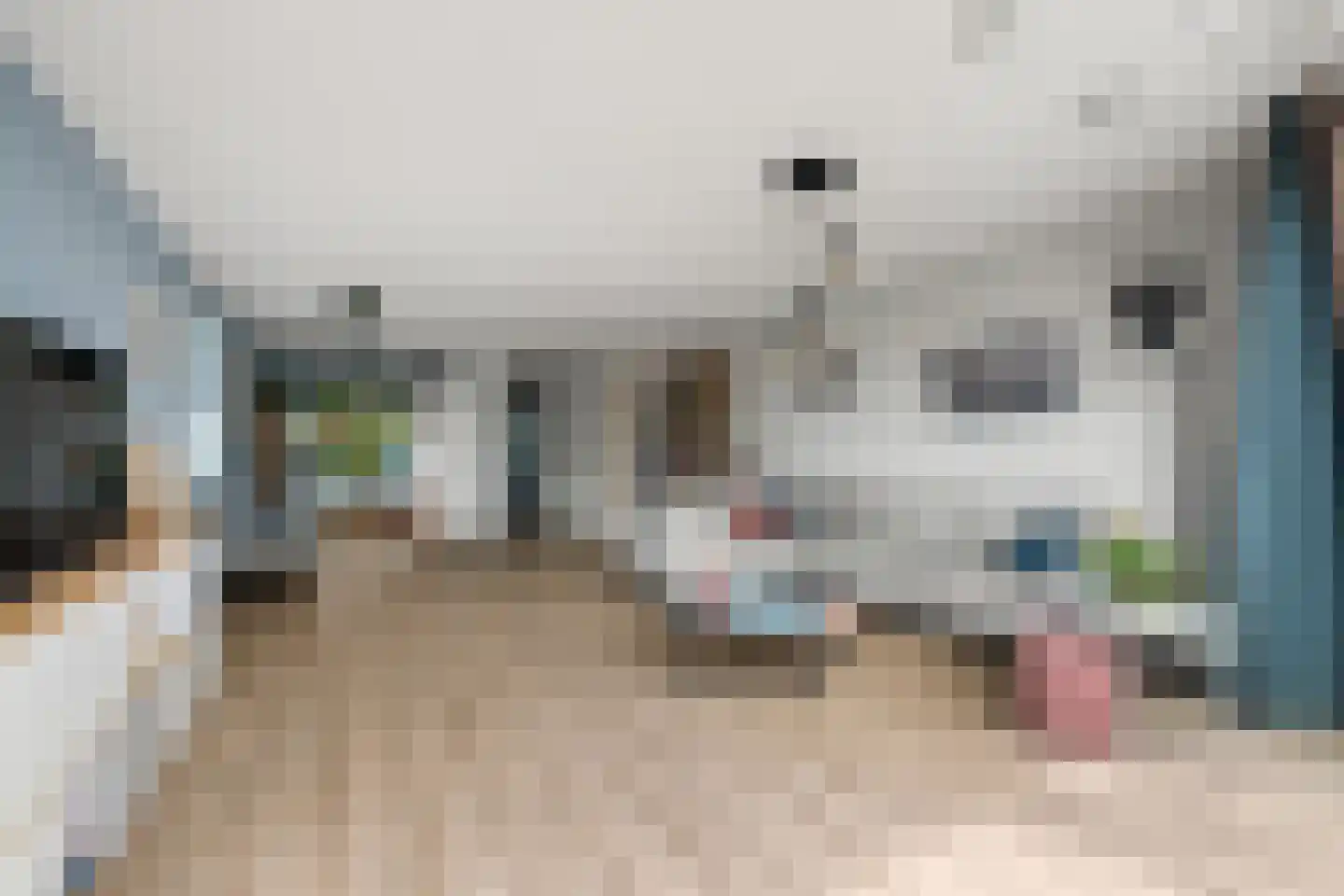 Tambo 8 Nieuwerkerk aan den IJssel thumbnail 9