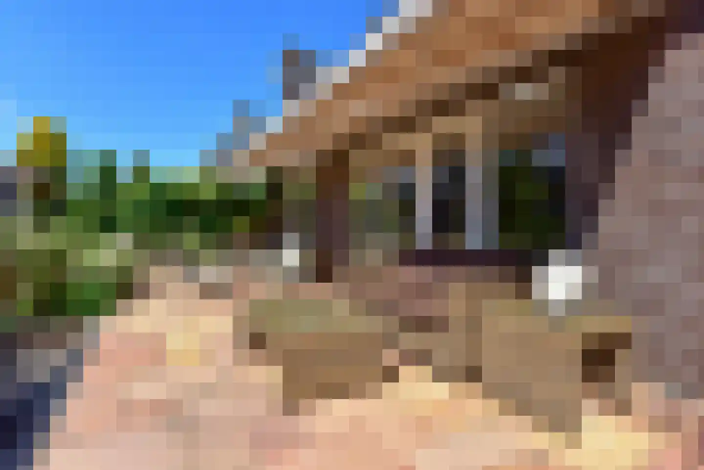 Tamboer 1 De Kwakel thumbnail 29