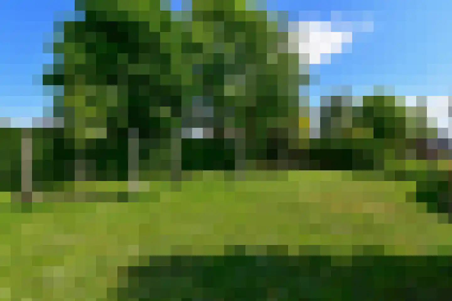 Tamboer 1 De Kwakel thumbnail 41