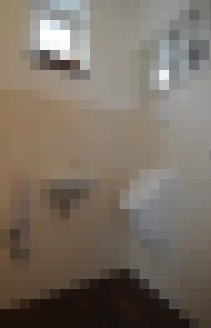 Tamboer 10 Lierop thumbnail 15