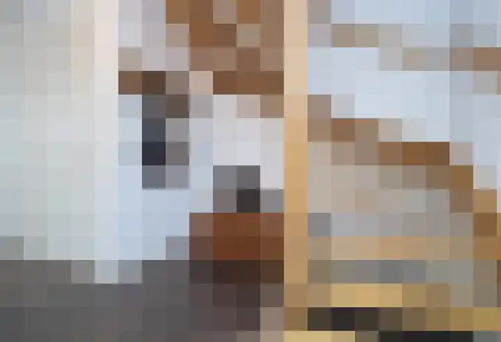 Tamboer 10 Lierop thumbnail 16