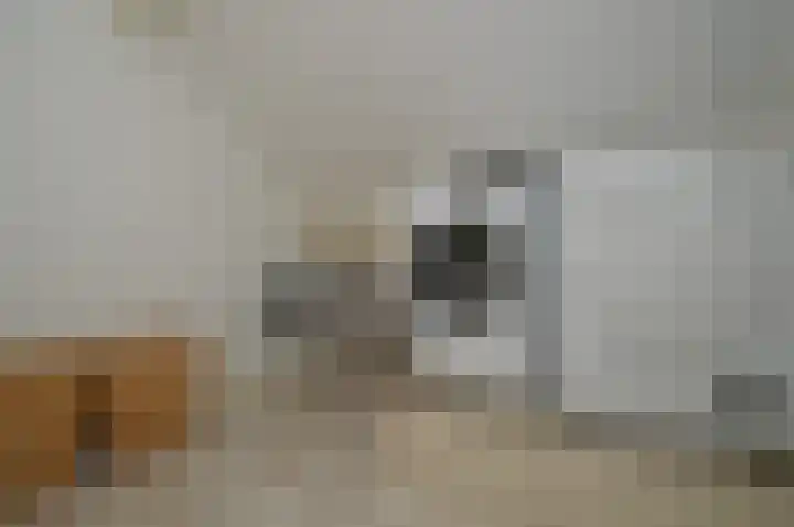 Tamboer 10 Lierop thumbnail 29