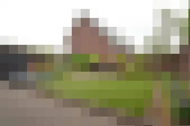 Tamboer 10 Lierop thumbnail 35