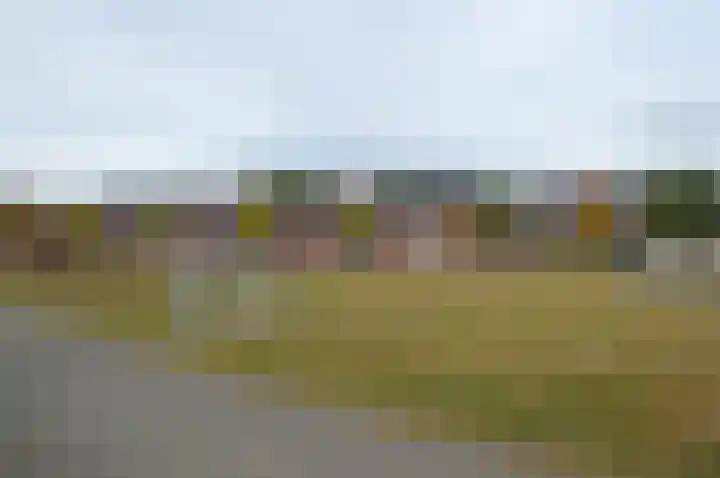 Tamboer 10 Lierop thumbnail 43