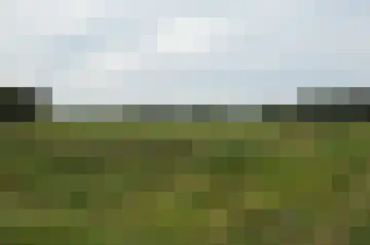 Tamboer 10 Lierop thumbnail 44