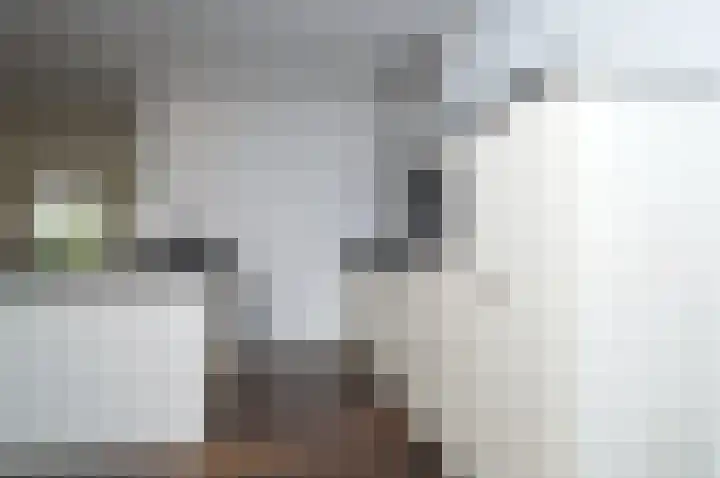 Tamboer 10 Lierop thumbnail 6