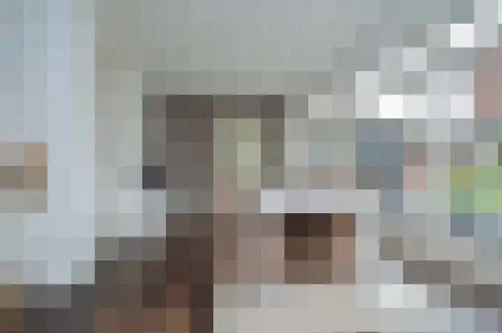 Tamboer 10 Lierop thumbnail 8