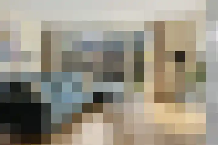 Tamboer 11 Heerenveen thumbnail 16