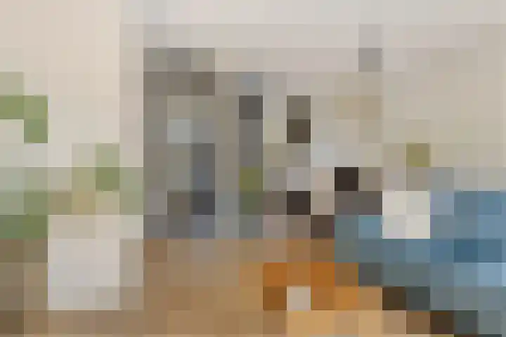 Tamboer 11 Heerenveen thumbnail 24