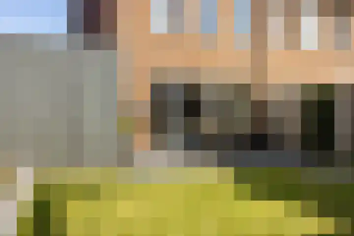 Tamboer 11 Heerenveen thumbnail 39