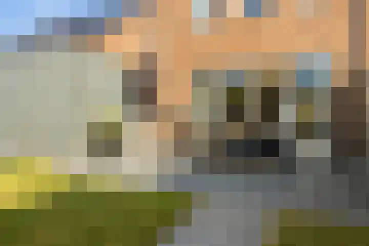 Tamboer 11 Heerenveen thumbnail 40