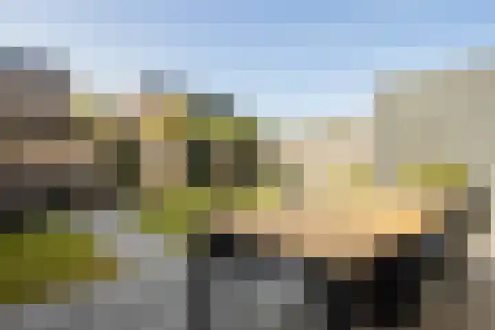 Tamboer 11 Heerenveen thumbnail 41